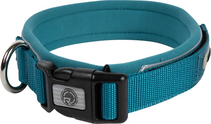 Radar 2024 Dog Collar