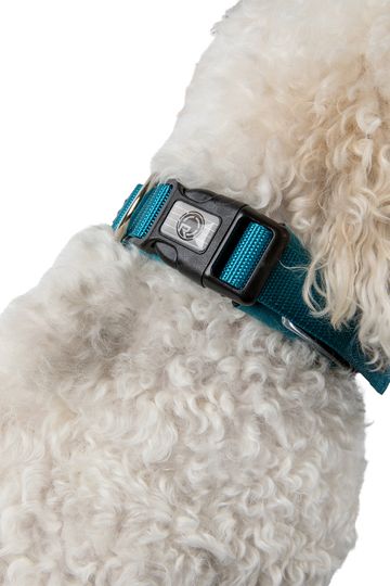 Radar 2024 Dog Collar