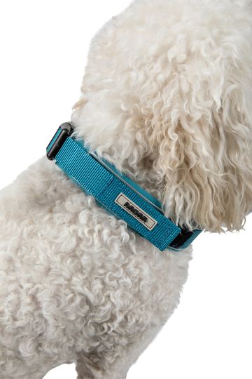 Radar 2024 Dog Collar