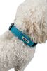 Radar 2025 Dog Collar