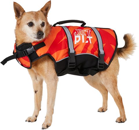 Jet Pilot 2025 Dog PFD Buoyancy Vest