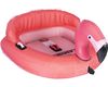 HO 2025 Flamingo Tube