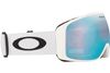 Oakley 2024 Flight Tracker L Goggles