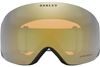 Oakley 2024 Flight Deck L Goggles