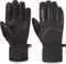 Dakine 2024 Fillmore Gore-Tex Short Glove