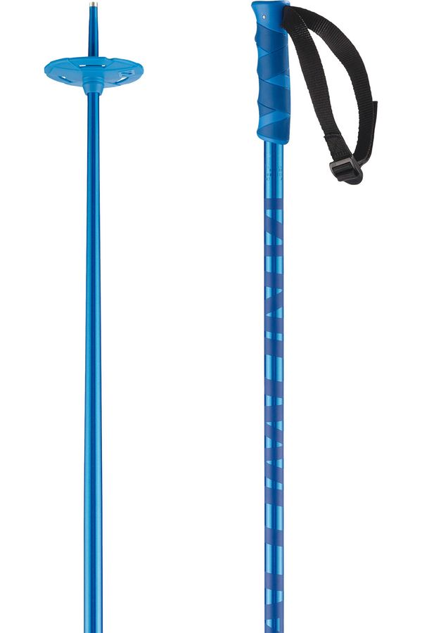 Salomon 2024 Hacker Snow Ski Poles