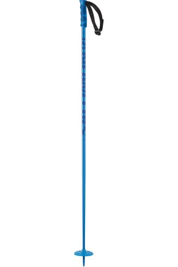 Salomon 2024 Hacker Snow Ski Poles