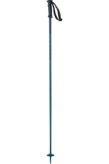 Salomon 2024 Arctic Snow Ski Poles