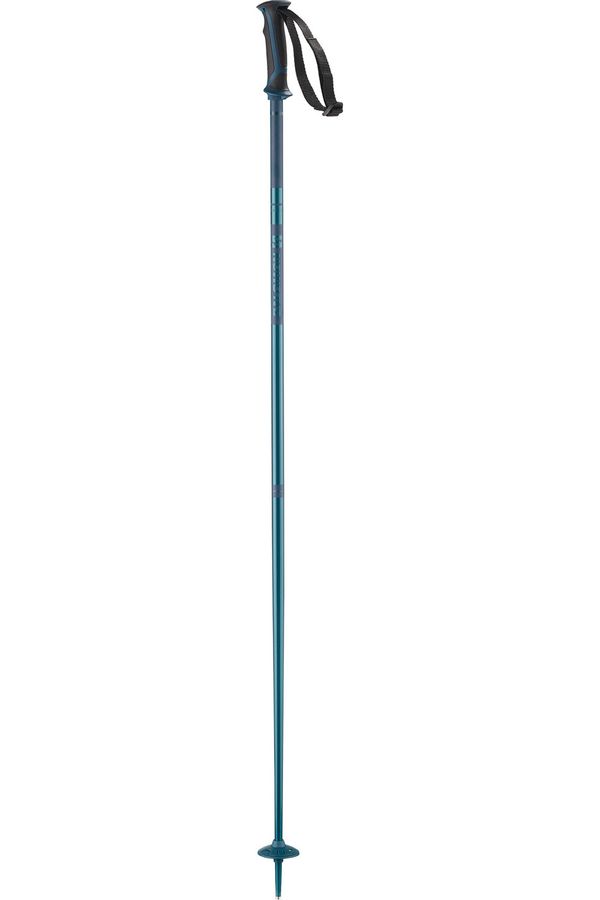 Salomon 2024 Arctic Snow Ski Poles