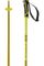 Salomon 2024 Arctic Snow Ski Poles