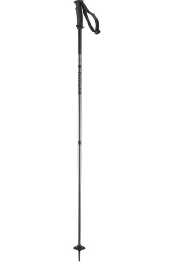 Salomon 2024 Arctic Snow Ski Poles