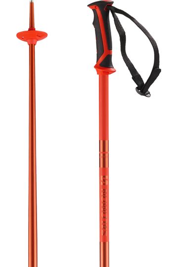 Salomon 2024 Arctic Snow Ski Poles