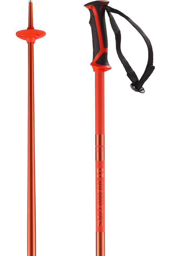 Salomon 2024 Arctic Snow Ski Poles