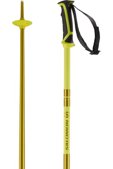 Salomon 2024 Arctic Snow Ski Poles