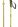 Salomon 2024 Arctic Snow Ski Poles