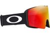 Oakley 2025 Fall Line L Goggles
