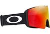 Oakley 2024 Fall Line L Goggles