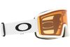Oakley 2025 Target Line M Goggles
