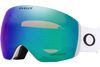 Oakley 2025 Flight Deck L Goggles