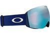 Oakley 2025 Flight Deck L Goggles