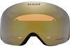 Oakley 2024 Flight Deck L Goggles