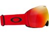 Oakley 2024 Flight Deck L Goggles