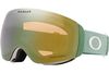 Oakley 2025 Flight Deck M Goggles