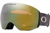 Oakley 2024 Flight Deck L Goggles