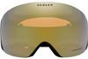 Oakley 2024 Flight Deck L Goggles