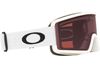 Oakley 2025 Target Line L Goggles