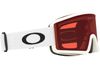 Oakley 2025 Target Line L Goggles