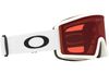 Oakley 2024 Target Line L Goggles