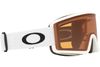 Oakley 2025 Target Line L Goggles