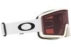 Oakley 2025 Target Line M Goggles