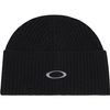 Oakley 2025 Ellipse Ribbed Beanie