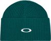 Oakley 2024 Ellipse Ribbed Beanie