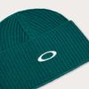 Oakley 2024 Ellipse Ribbed Beanie