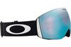 Oakley 2025 Flight Deck L Goggles