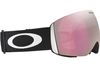 Oakley 2024 Flight Deck L Goggles