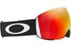 Oakley 2025 Flight Deck L Goggles