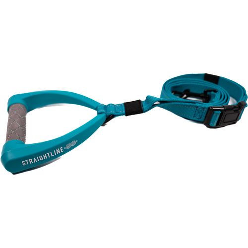 Radar 2027 Dog Leash