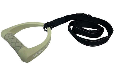 Straightline 2025 Dog Leash