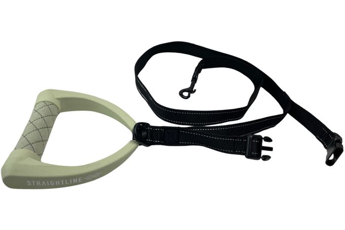 Straightline 2025 Dog Leash