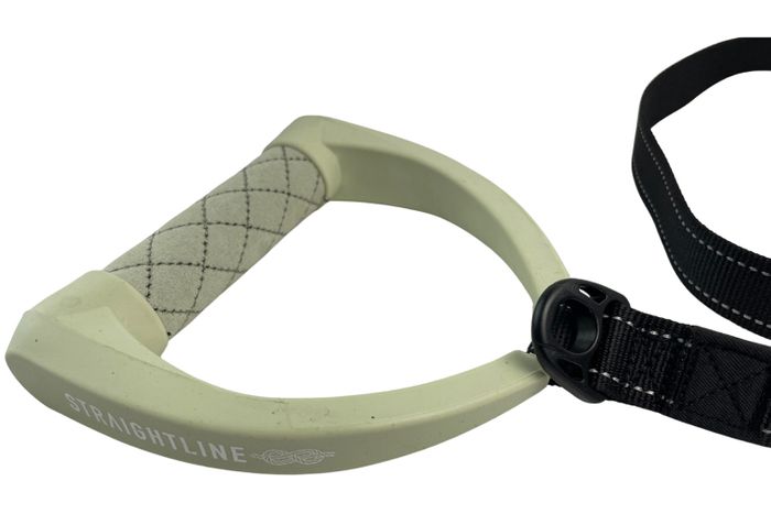 Straightline 2025 Dog Leash