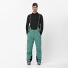 Salomon 2025 Brilliant Pant