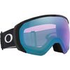 Oakley 2025 Flight Path L Goggles