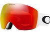 Oakley 2025 Flight Deck L Goggles