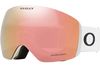 Oakley 2025 Flight Deck L Goggles