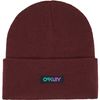 Oakley 2025 B1B Gradient Patch Beanie