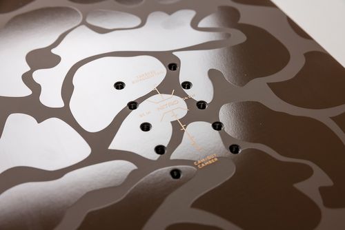 Nitro 2026 Fintwin Snowboard
